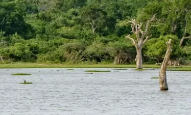 Wildlife Safari Sri Lanka