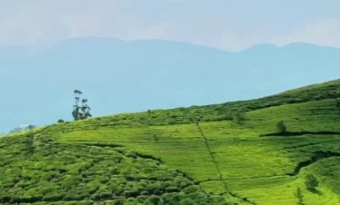 10 Days 9 Nights Best of Sri Lanka
